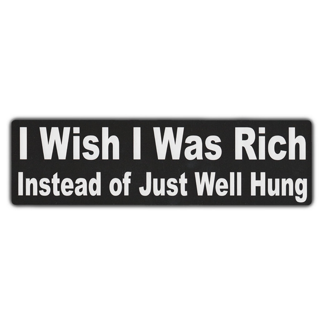 Bumper Sticker - I Wish I Was Rich Instead Of Just Well Hung