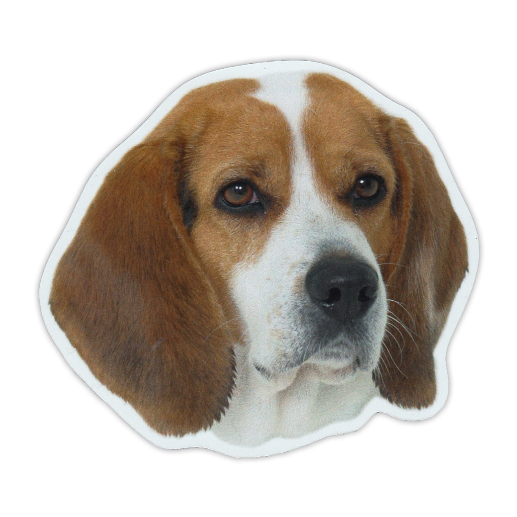 Magnet - Beagle (5" x 4.5")