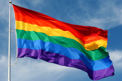 LGBTQ Rainbow Pride Flag
