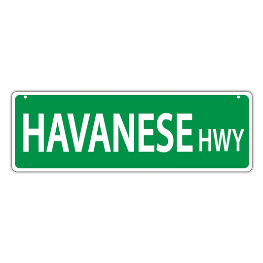 Street Sign, Plastic, Havanese Highway, 17