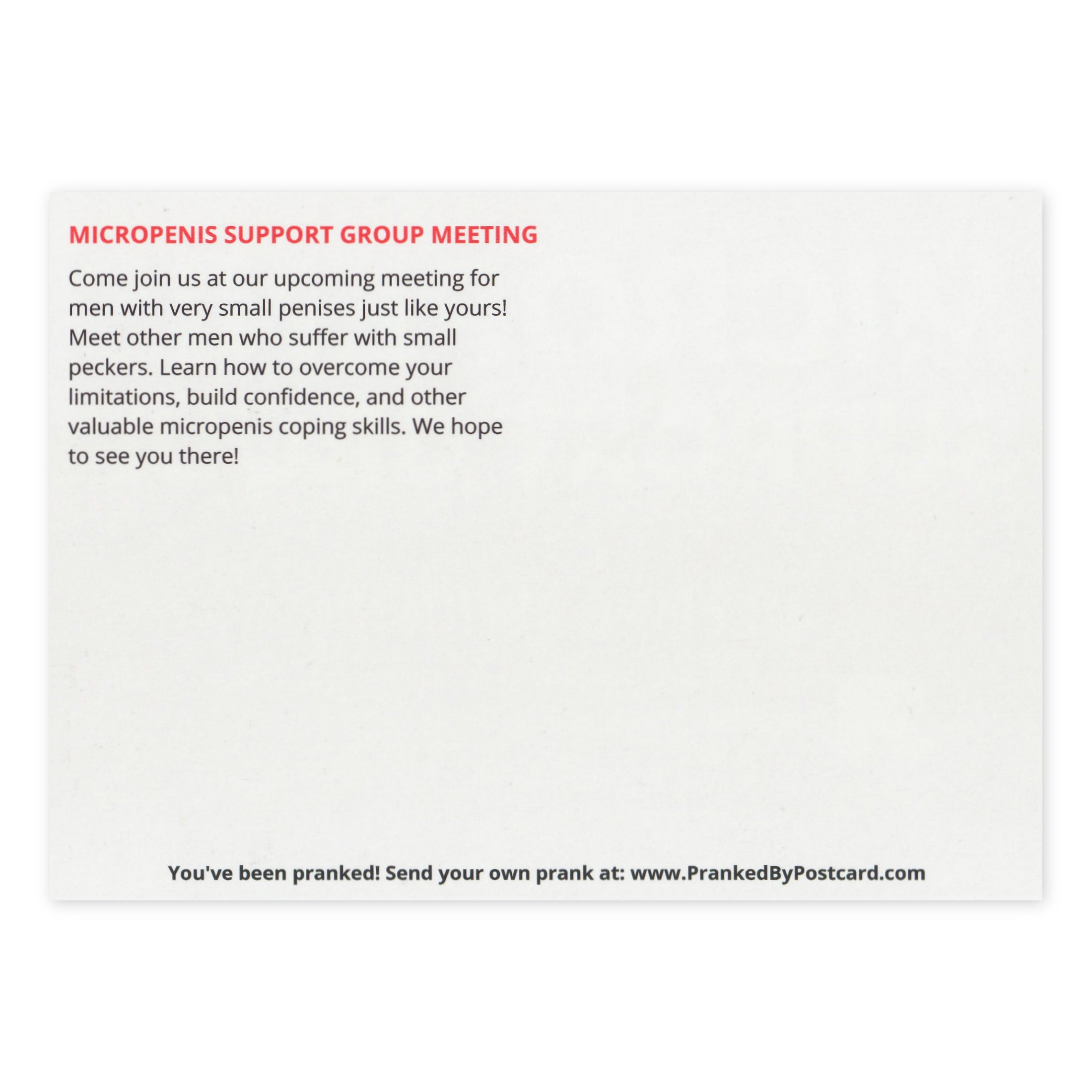 Prank Postcards (10-Pack, Micropenis Support Group) - Back