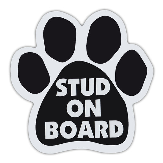Magnet, Dog Paw, Stud On Board, 5.5