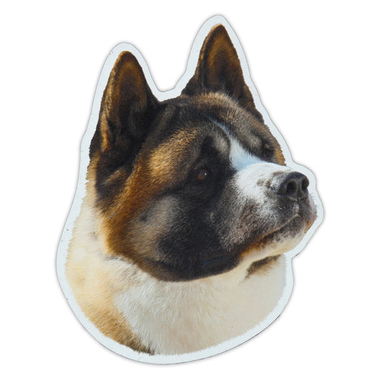 Magnet, Akita Dog Breed, 4.5