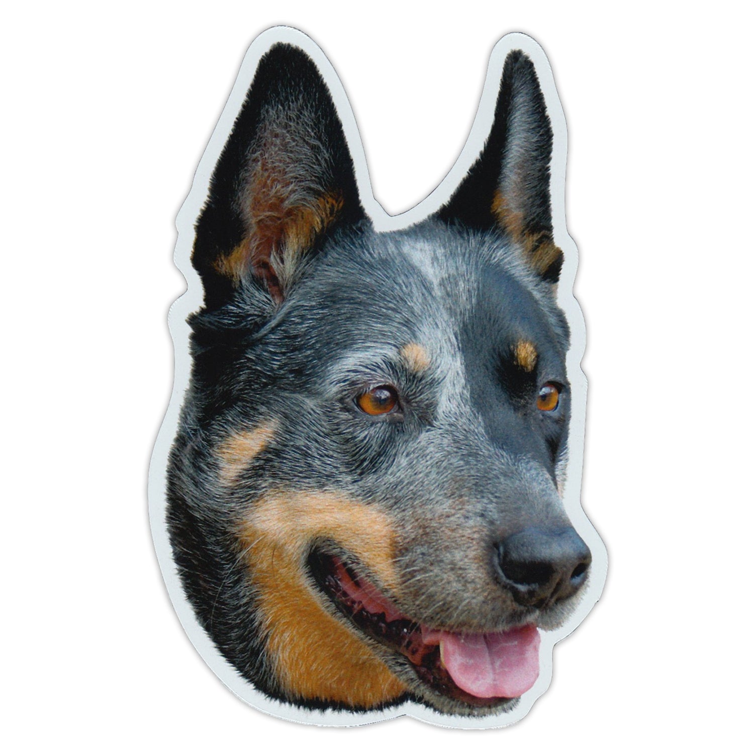 Magnet - Australian Cattle Dog (3" x 5")