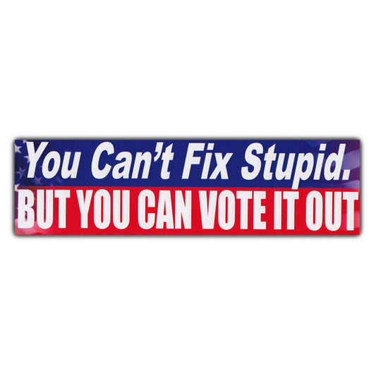 Sticker, Bumper Sticker, You Can't Fix Stupid, But You Can Vote It Out, 10
