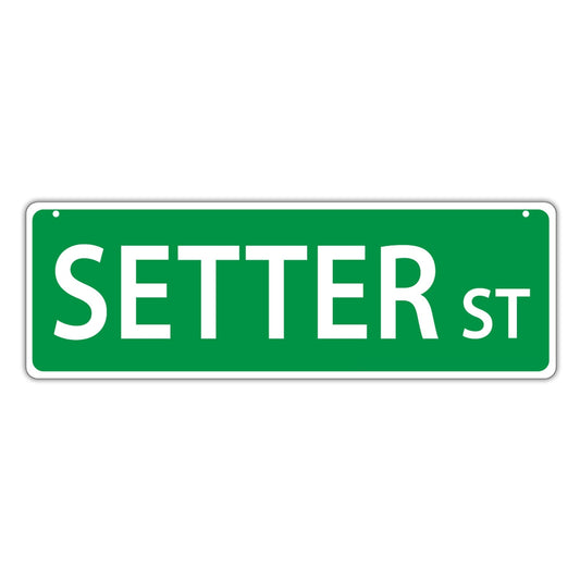 Street Sign, Plastic, Setter Street (English, Gordon, Irish), 17