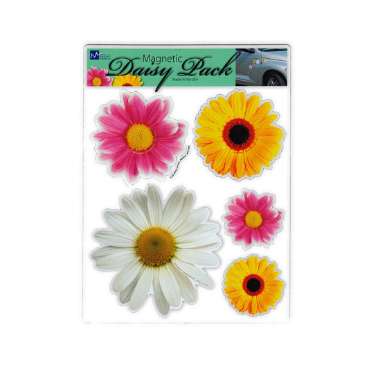 Magnets, Magnet Pack, Set of 5, Daisy Flowers, 2