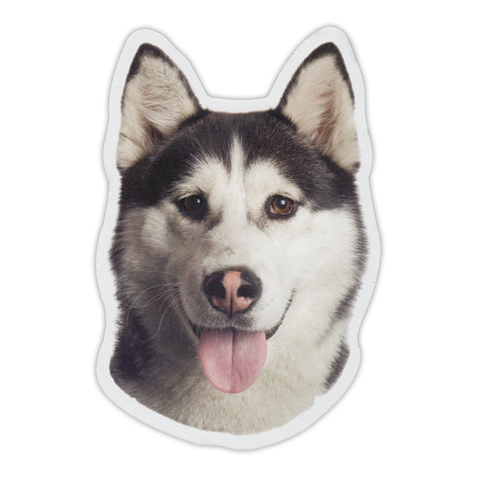 Magnet, Alaskan Malamute Dog Breed, 3.5