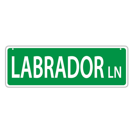 Street Sign, Plastic, Labrador Lane, 17