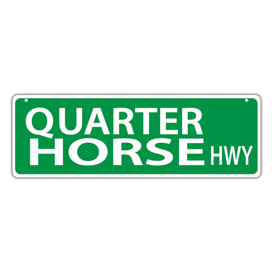 Street Sign, Plastic, Quarter Horse Highway, 17