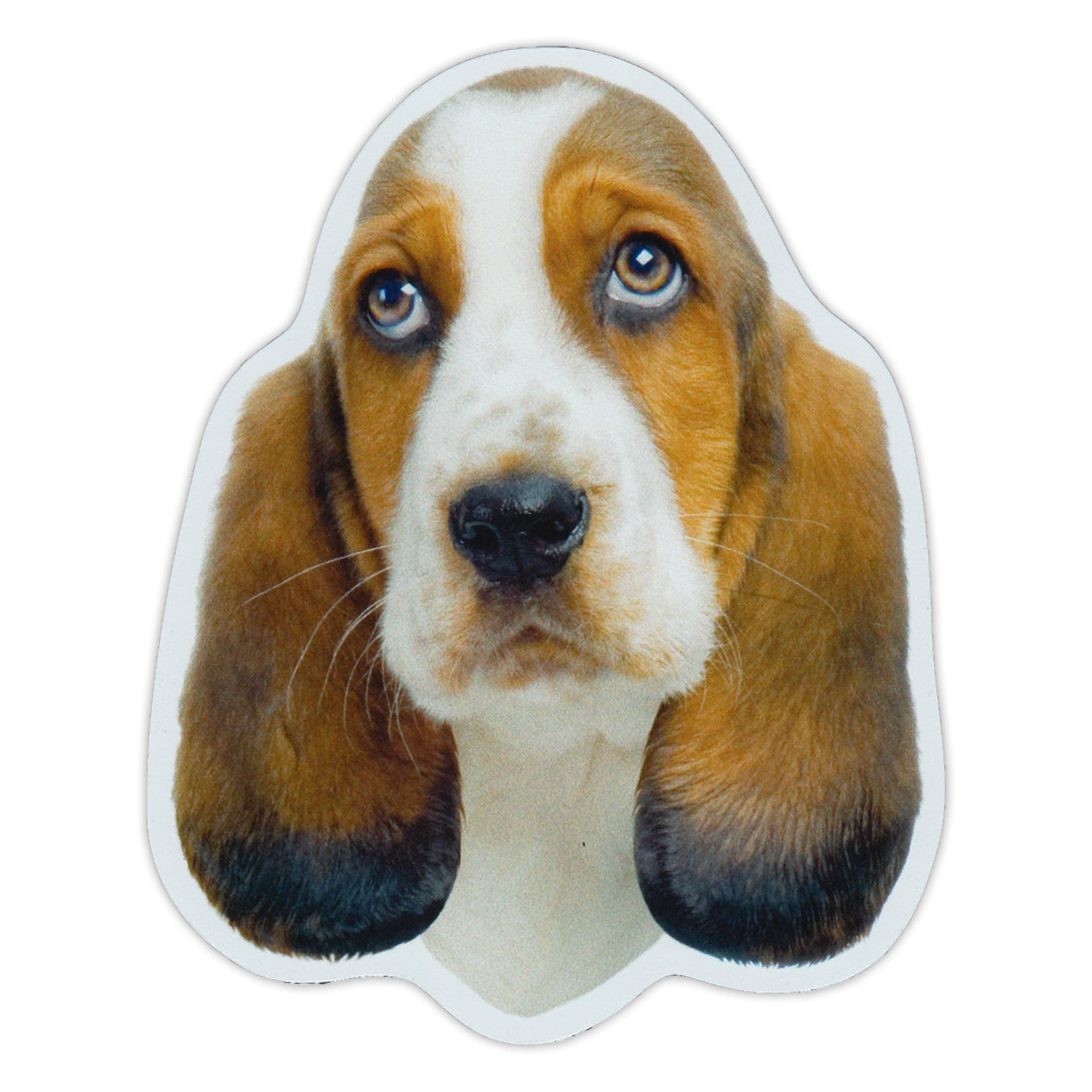 Magnet - Basset Hound (4" x 5")