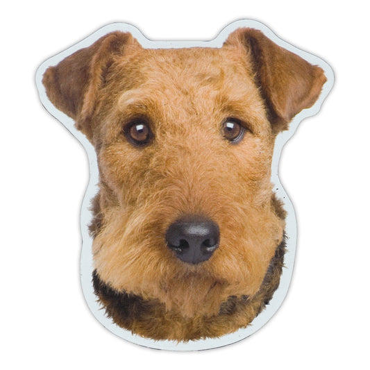 Magnet, Airedale Terrier Dog Breed, 4.5