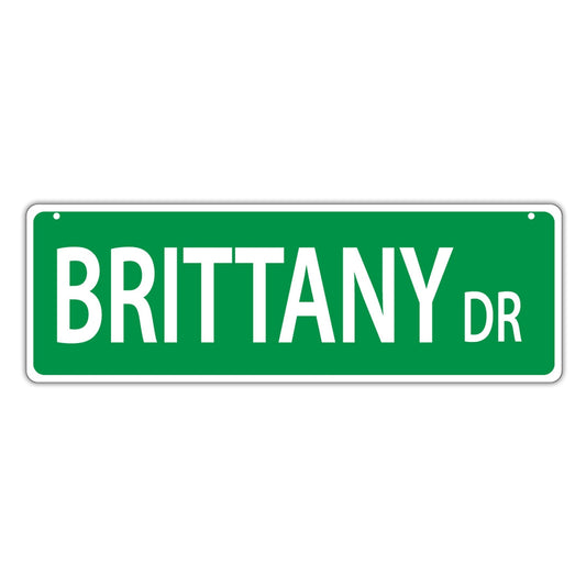 Street Sign, Plastic, Brittany Drive, 17