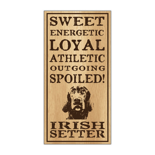 Sign, Wood, Spoiled Irish Setter, 5