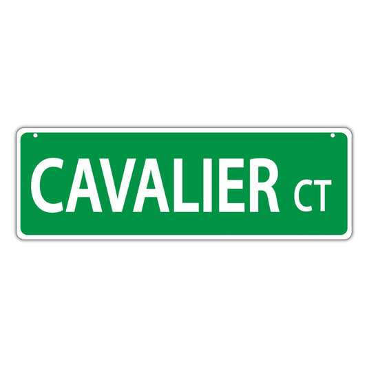 Street Sign, Plastic, Cavalier Court, 17