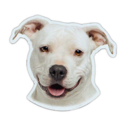 Magnet, American Staffordshire Terrier, 4.75