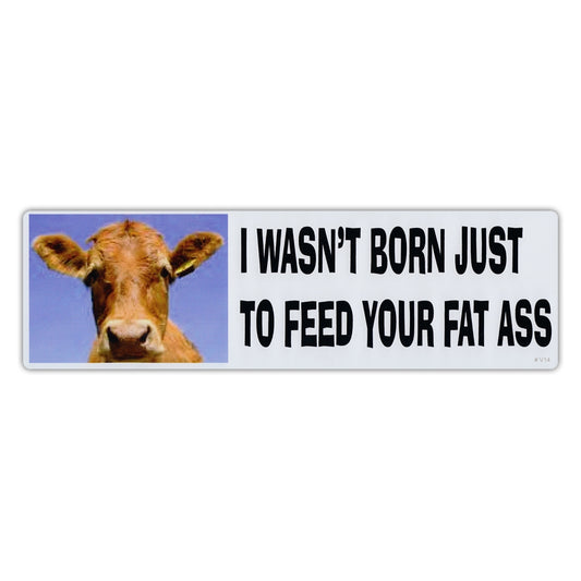 Sticker, Bumper Sticker, I Wasn't Born Just To Feed Your Fat Ass, 10