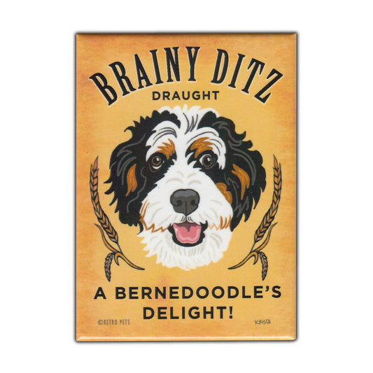 Magnet, Refrigerator Magnet, Brainy Ditz Draught, Bernedoodle Dog, Vintage Advertising Art, 2.5
