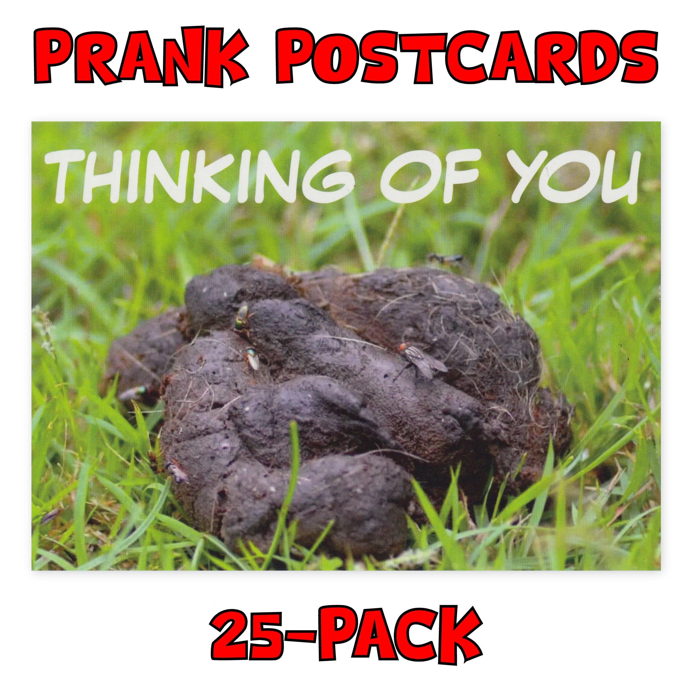 (25-Pack) Bulk Prank Postcards - Funny Thinking of You Dog Poop