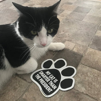 Magnet, Cat Paw, My Cat Is Smarter Than The President, 5.5